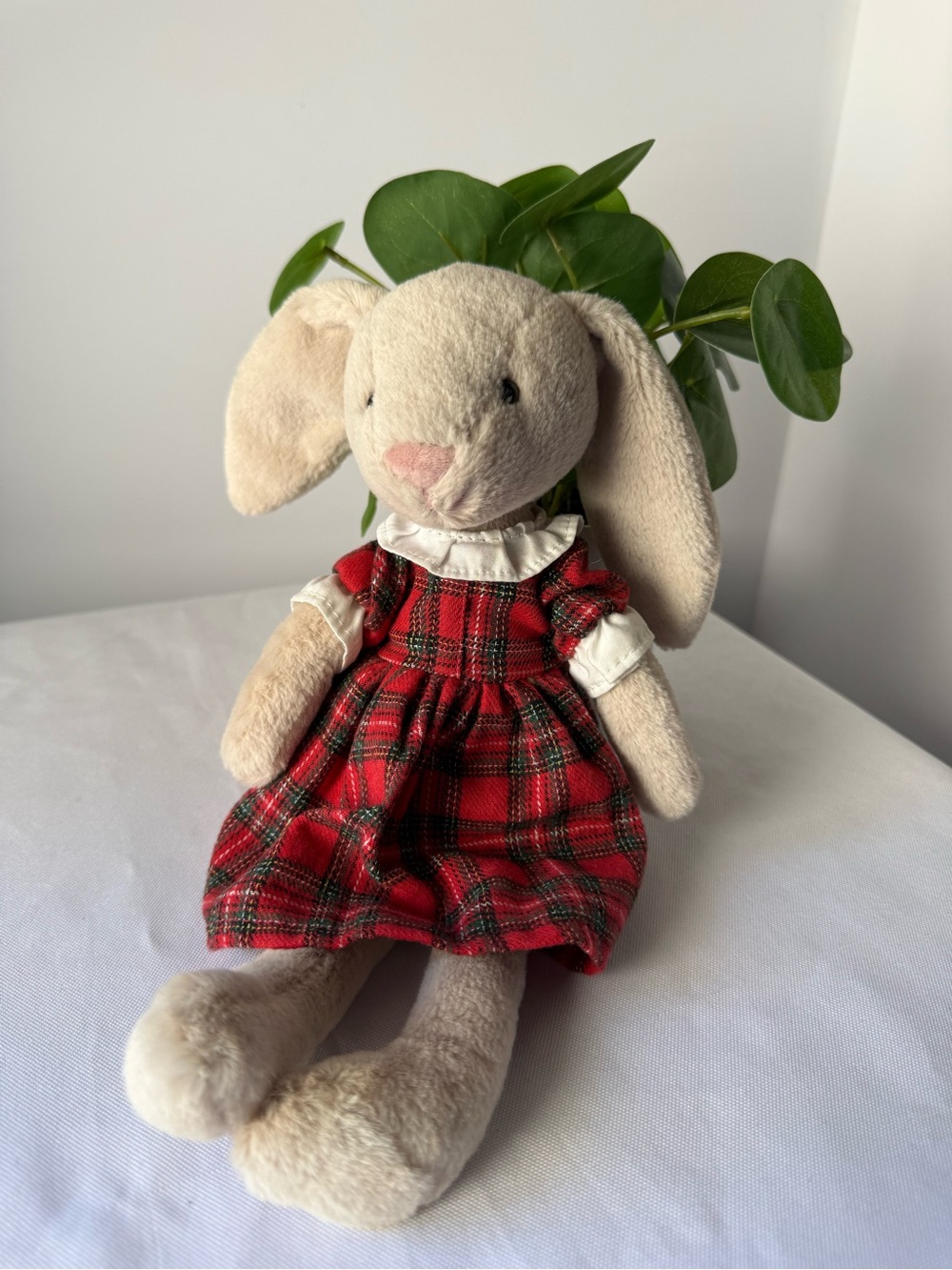 Jelly Cat Tartan Lottie Bunny.
Retired”